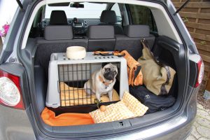 Auto-Hundegitter Test & Vergleich - welche Produkte überzeugen? & Vergleich  2024 - die besten Produkte